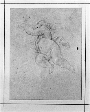 testa di bambino; angelo