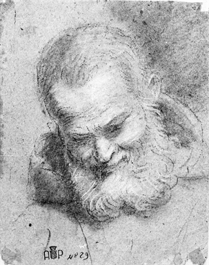 frate cappuccino; studi di mani