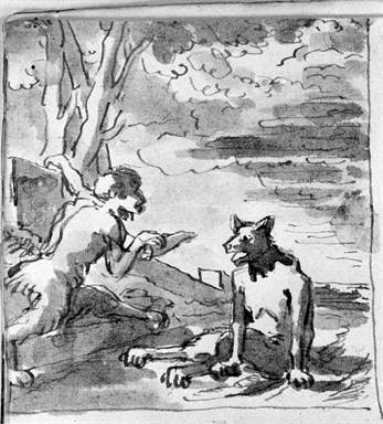 una scimmia e un lupo intenti a conversare