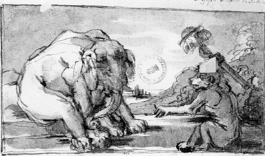 una scimmia conversa con un elefante; composizione allegorica