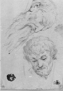 studio per due teste maschili