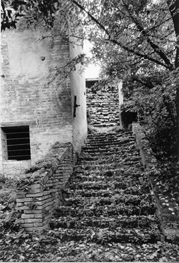 Magazzini dell'Azienda Agraria Rangoni-Machiavelli