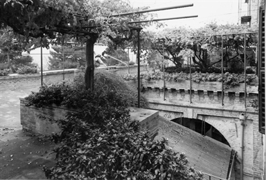 Palazzo degli Azzoni-Avogadro