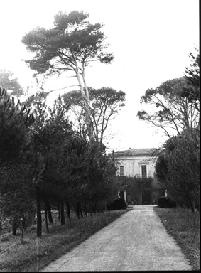 Villa Miralfiore