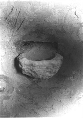 Chiesa del Cenobio di S. Bartolo