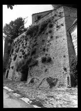 Rocca di Castelnuovo