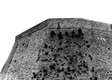 Mura urbiche di Barchi