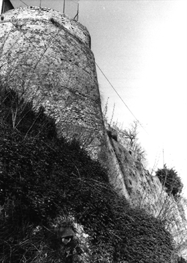 Castello di Montelevecchie