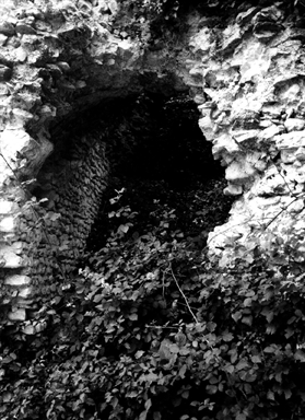 Mura del Castello di Montalto Tarugo