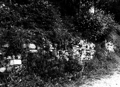 Mura del Castello di Montalto Tarugo
