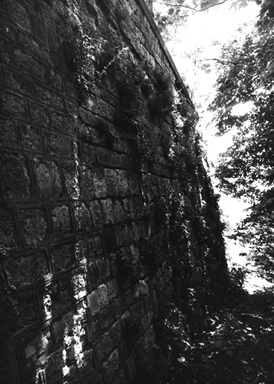 Mura di cinta del Borgo