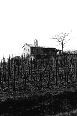 Chiesa di S. Maria della Consolazione