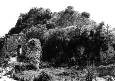 Rocca di Pietracuta