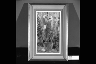 vaso co garofani bianchi