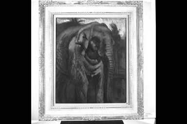 Elefante