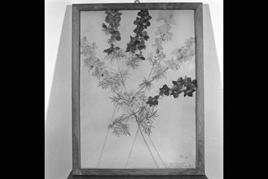 fiori