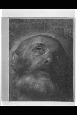 testa d'uomo anziano