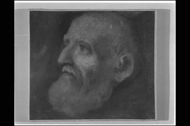 testa d'uomo anziano