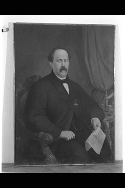 Ritratto del senatore Domenico Monti