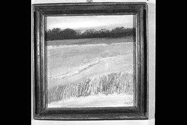 Paesaggio d'estate