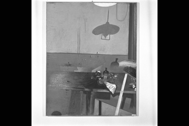 Analisi di alcuni elementi di un ambiente di febbraio