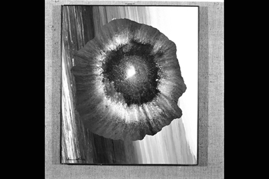 Rosette