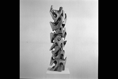 Il tarlo I; Il tarlo - da un parallelepipedo a base quadrata - ricerca dello spazio e della luce