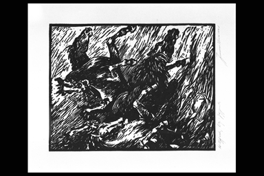 cavalli imbizzarriti