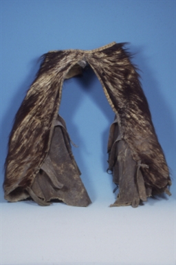 li cosciali - cosciali