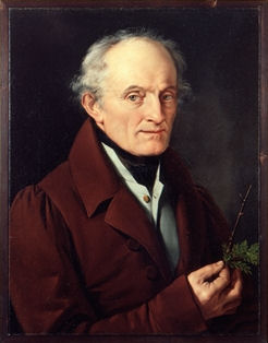 Ritratto di Francesco Bagni
