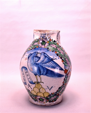 Uccello rapace