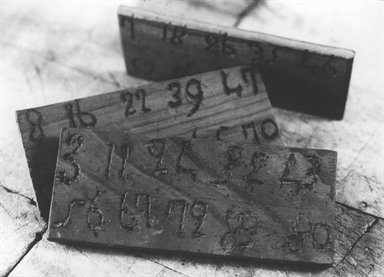 Tavolette di legno in cui sono incise e annotate date di fasi di calore dei bovini utili al contadino per gli accoppiamenti degli stessi