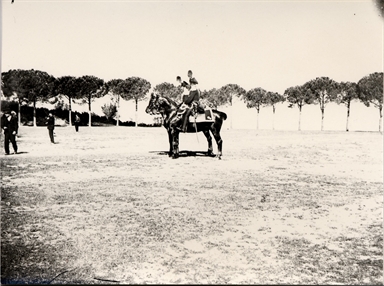 Macerata. Carabinieri a cavallo (in piazza d'armi)