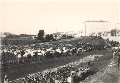 Macerata. Campo Boario e palazzo Ugolini