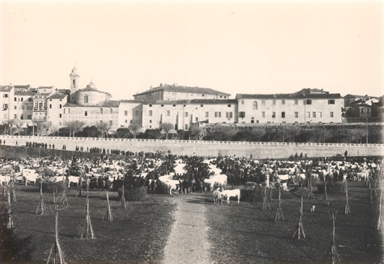 Macerata. Campo Boario e Chiesa di San Lorenzo