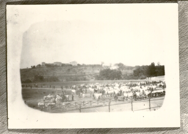 Macerata. Veduta del Campo Boario e Colle di Santa Croce