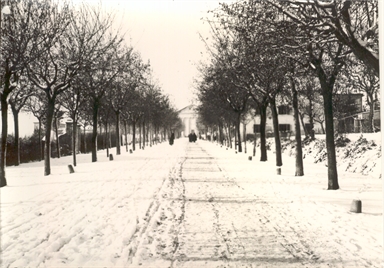 Macerata. Viale Santa Croce