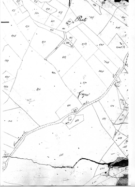 Nucleo agricolo