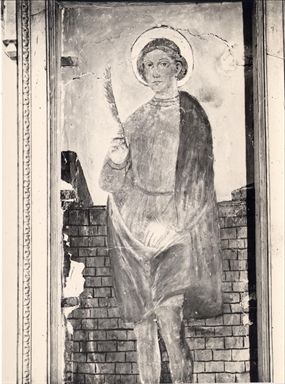 Chiesa di San Liberato in Macerata. S. Timoteo (affresco)