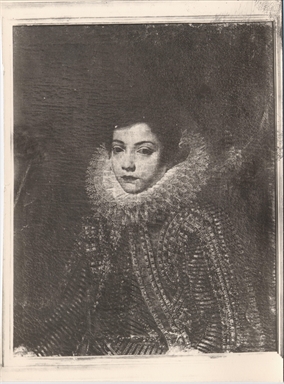Ritratto di giovane ignoto