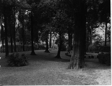 Parco di Villa Angelo Custode