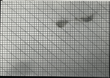 Lastra quadrettata (ad uso disegno)