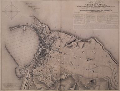 carta topografica della città di Ancona