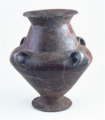 Biconico quadriansato