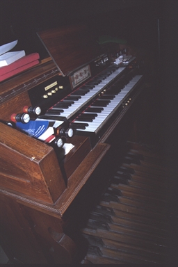 organo