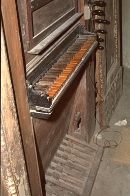 organo