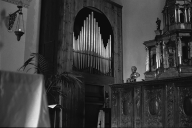 organo