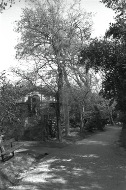 Parco di Villa Colloredo Mels