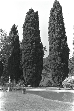 Parco di Villa Le Querce