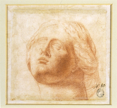 Niobe